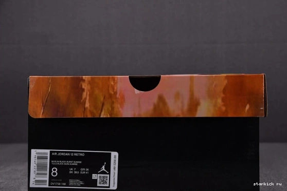 DV1758-108 DV1758-108 Eastside Jordan Golf Retro 12 0111